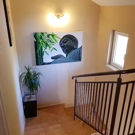 Napsugár B