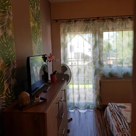 Napsugar B * 시오포크