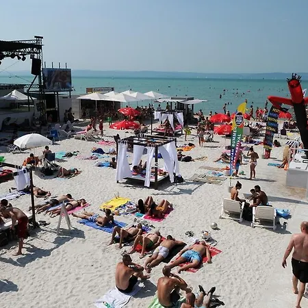 Napsugar B 시오포크